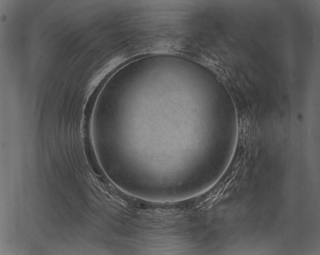 X0000067370292200603311152