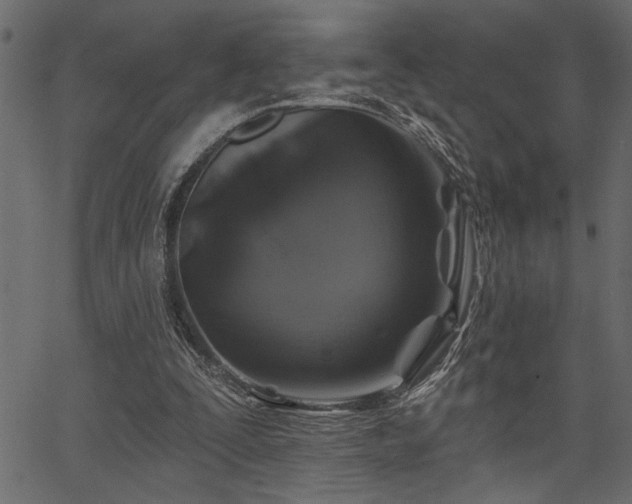 X0000067370295200603311152