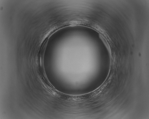 X0000067370297200603311152