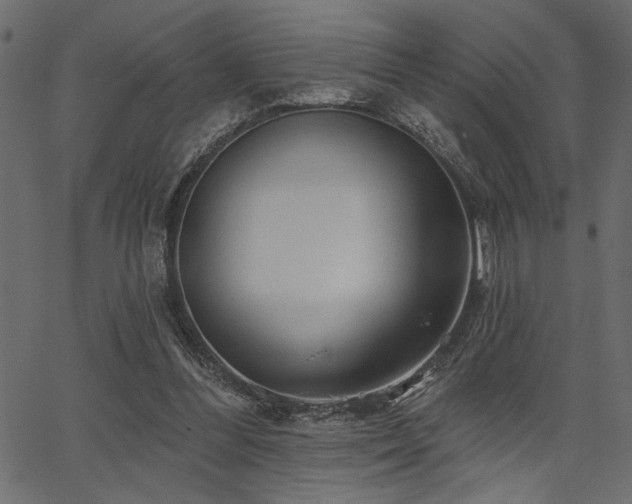 X0000067370300200603311152