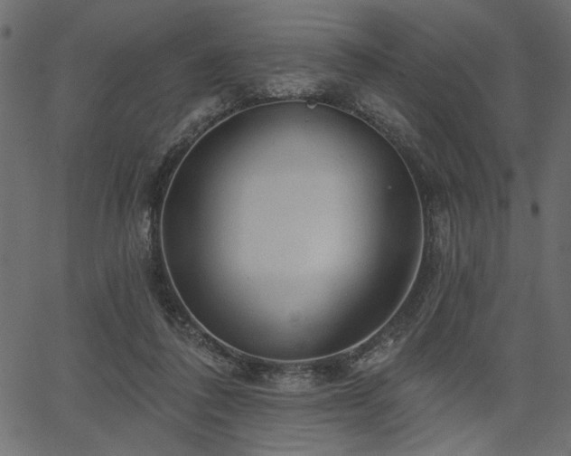 X0000067370308200603311152