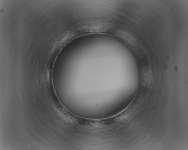 X0000067370310200603311152