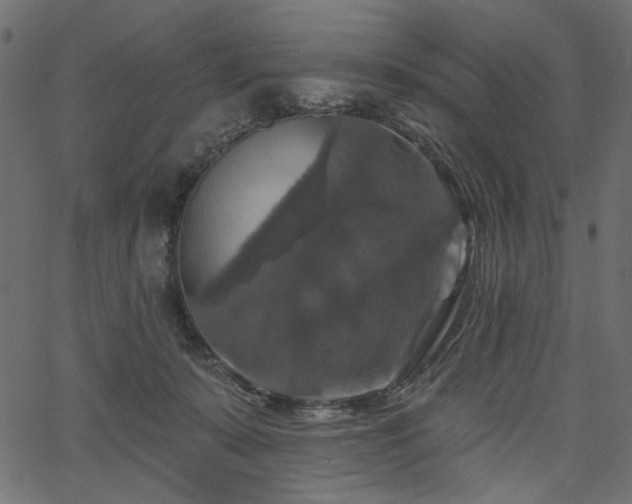 X0000067370319200603311152