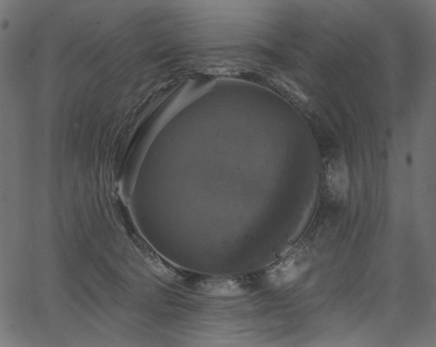 X0000067370322200603311152