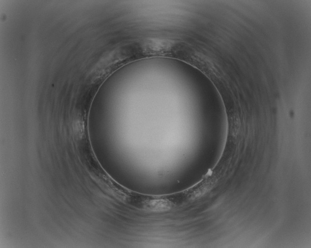 X0000067370324200603311152