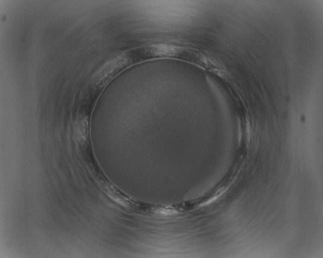 X0000067370325200603311152