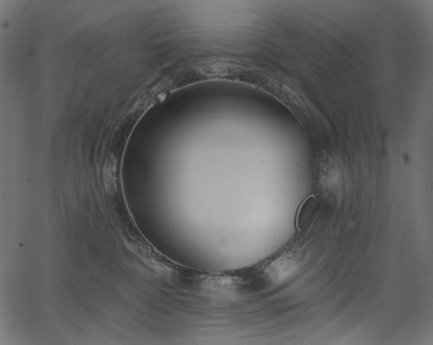 X0000067370332200603311151