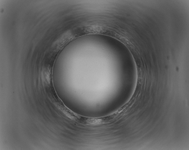 X0000067370334200603311151