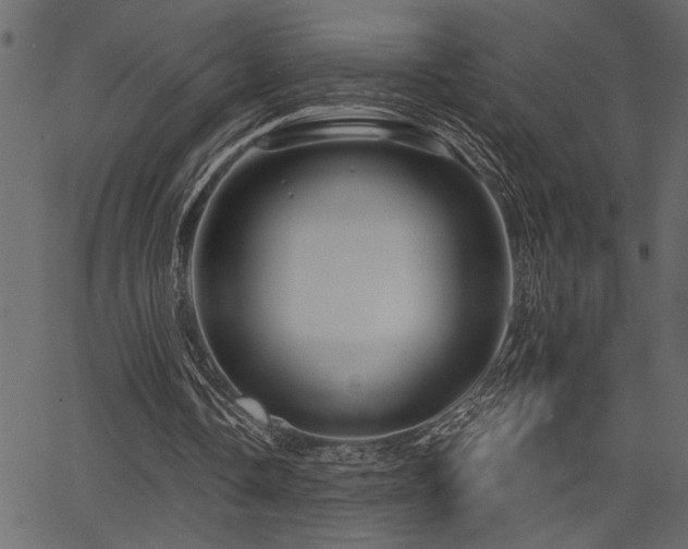 X0000067370338200603311151