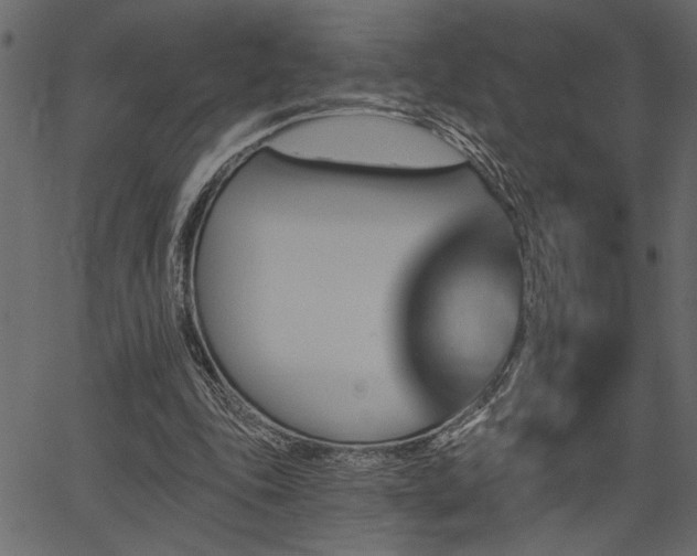 X0000067370343200603311151