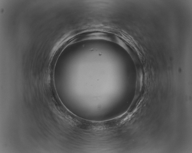 X0000067370344200603311151