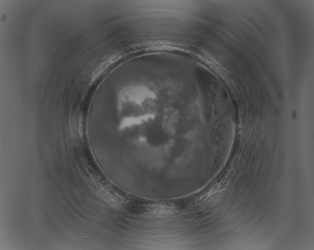 X0000067370347200603311151