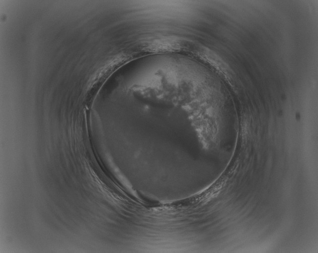 X0000067370353200603311151