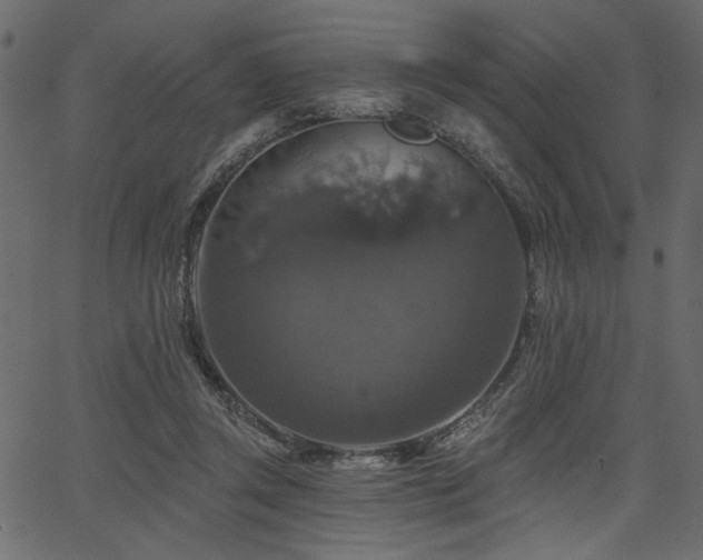 X0000067370357200603311151