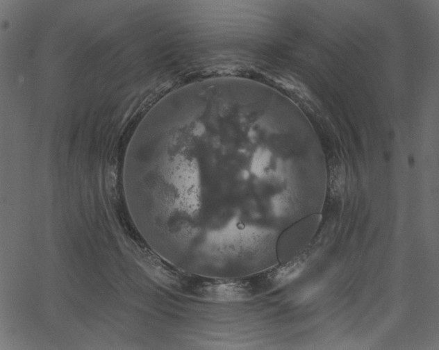 X0000067370365200603311151