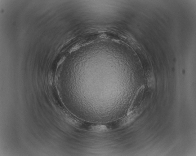 X0000067370374200603311151