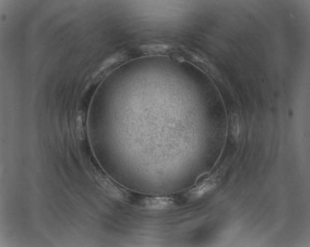 X0000067370378200603311151
