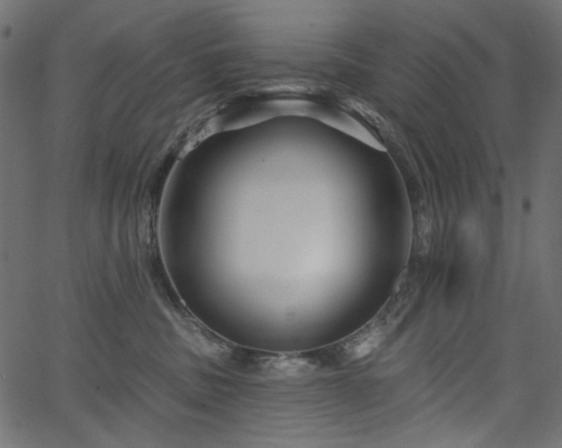 X0000067370379200603311151