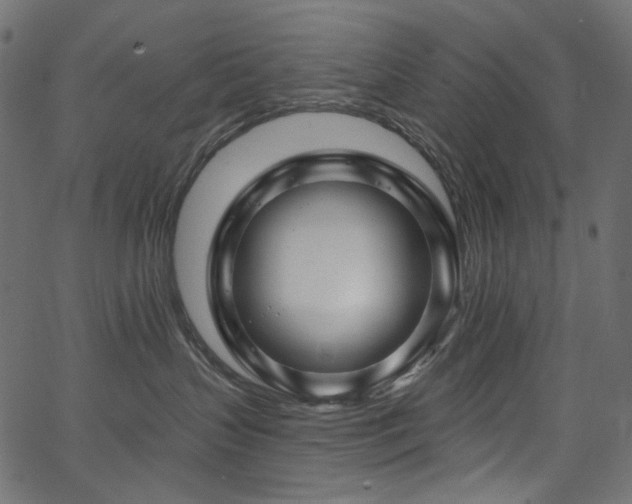 X0000067370383200603311151