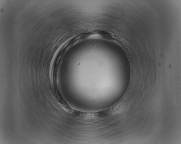 X0000067370384200603311151