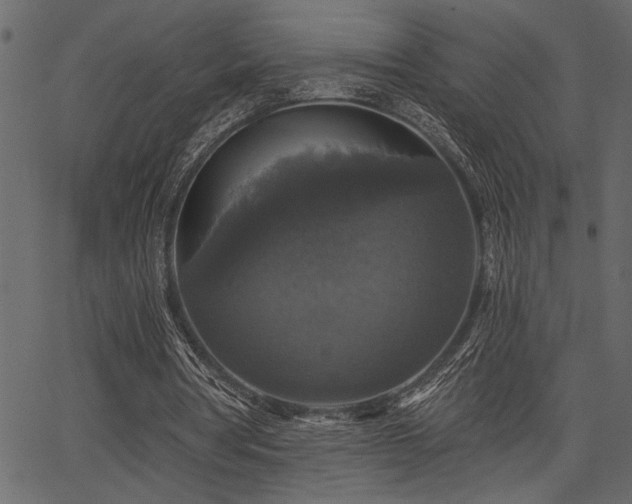 X0000067370386200603311151
