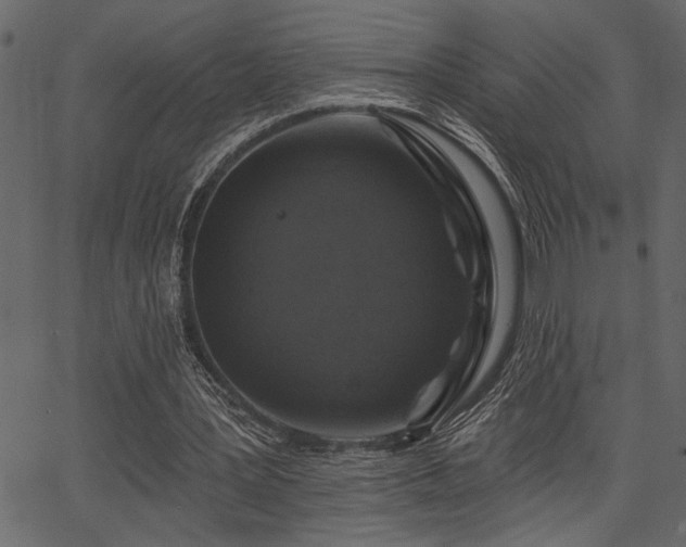 X0000067370387200603311151