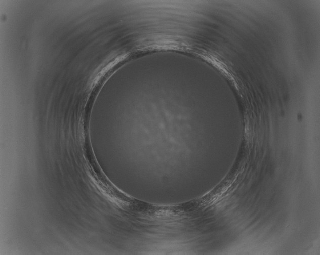 X0000067370390200603311151
