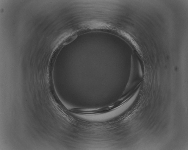 X0000067370391200603311151