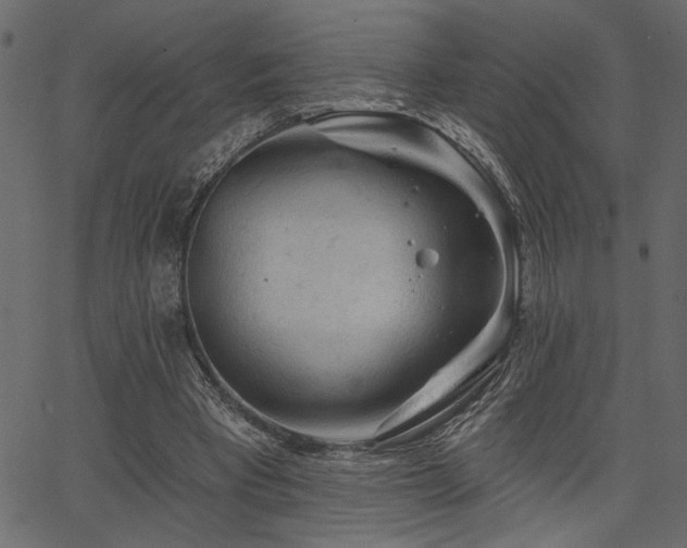 X0000067370393200603311150