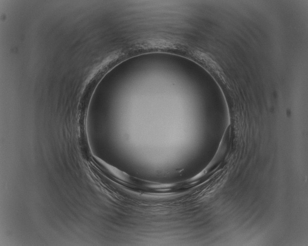 X0000067370395200603311150