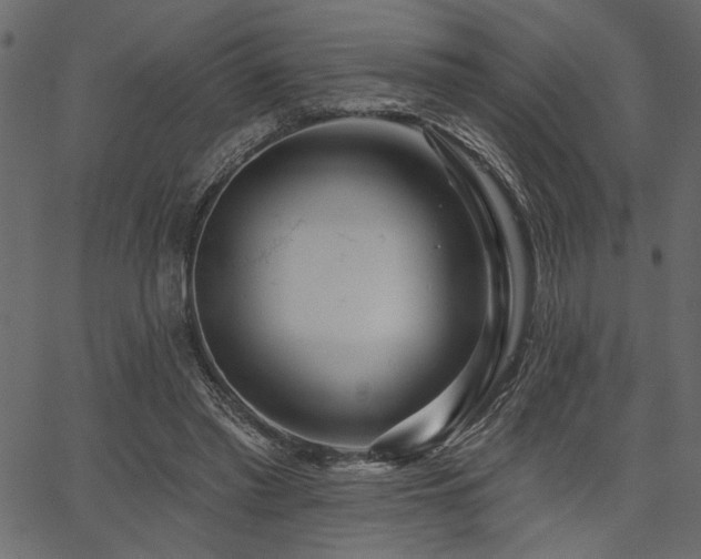X0000067370397200603311150