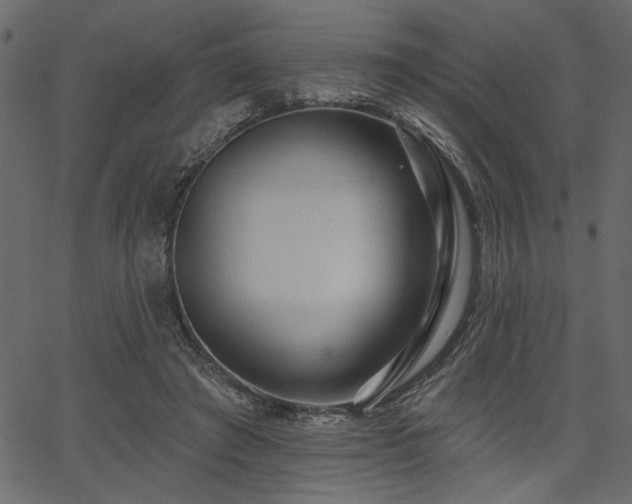 X0000067370401200603311150