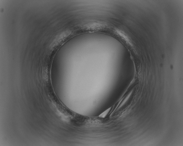 X0000067370403200603311150