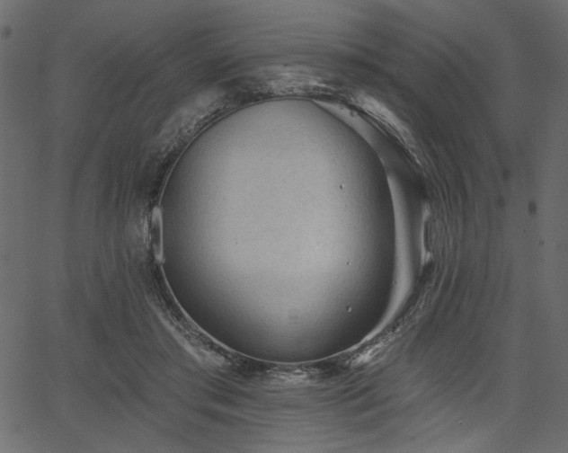 X0000067370405200603311150