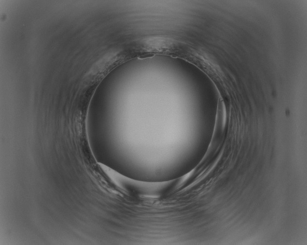 X0000067370413200603311150