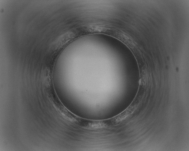 X0000067370414200603311150