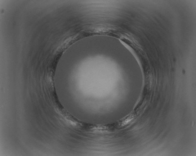 X0000067370415200603311150