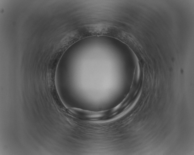 X0000067370416200603311150