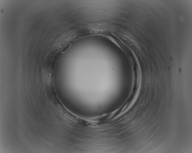X0000067370417200603311150