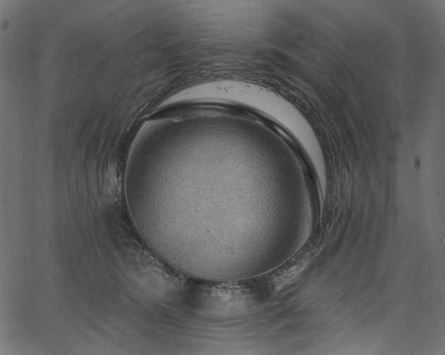 X0000067370420200603311150
