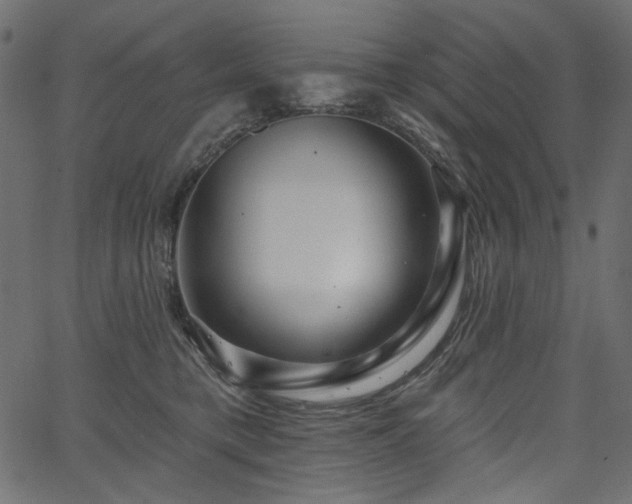 X0000067370421200603311150