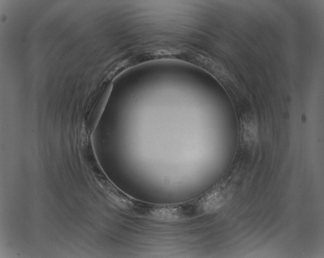 X0000067370422200603311150