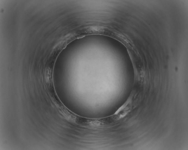 X0000067370423200603311150