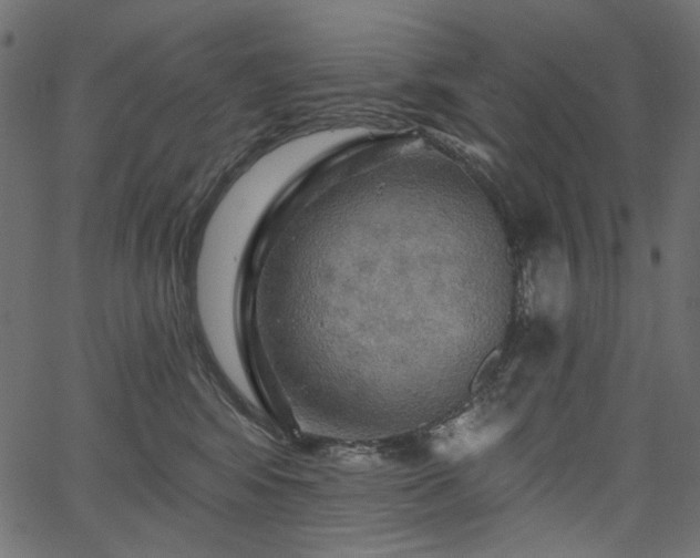 X0000067370424200603311150