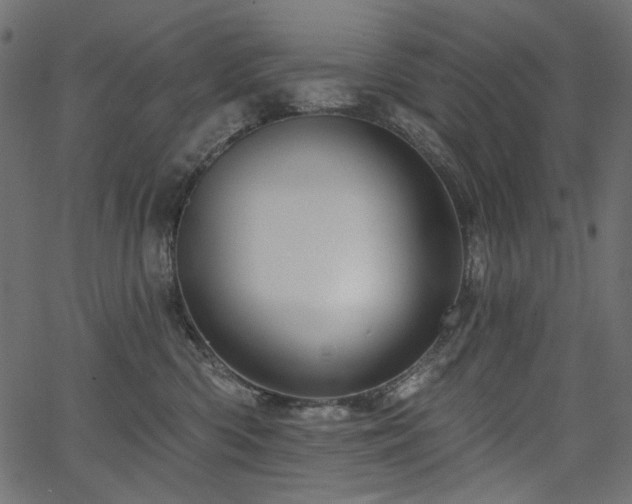 X0000067370426200603311150