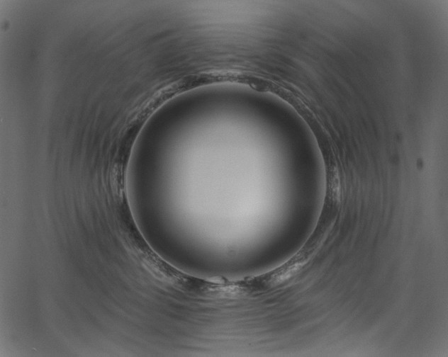 X0000067370428200603311150