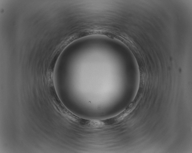 X0000067370429200603311150
