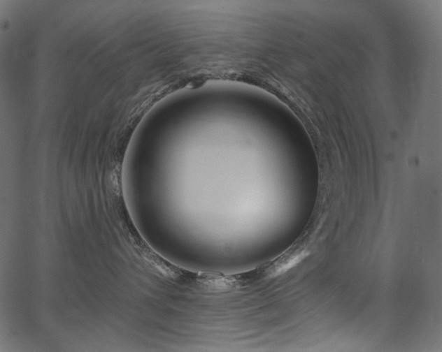 X0000067370432200603311150