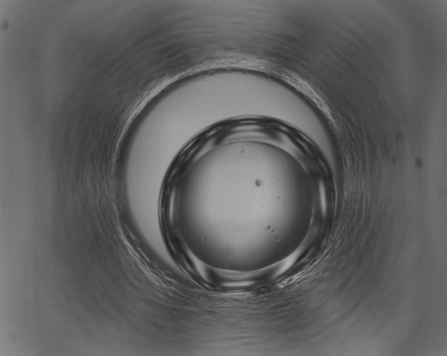 X0000067370436200603311149