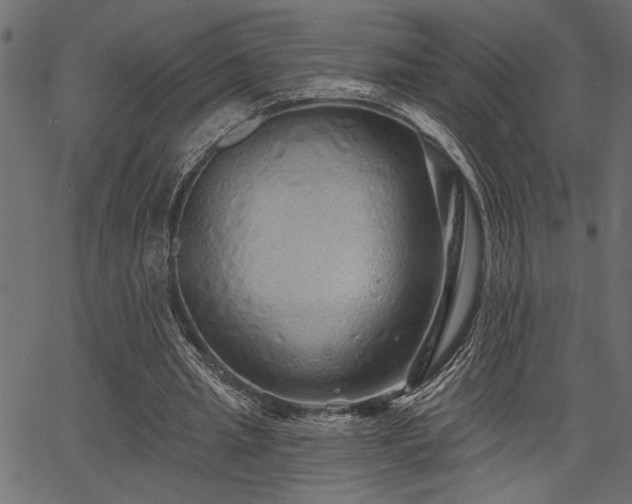 X0000067370437200603311149
